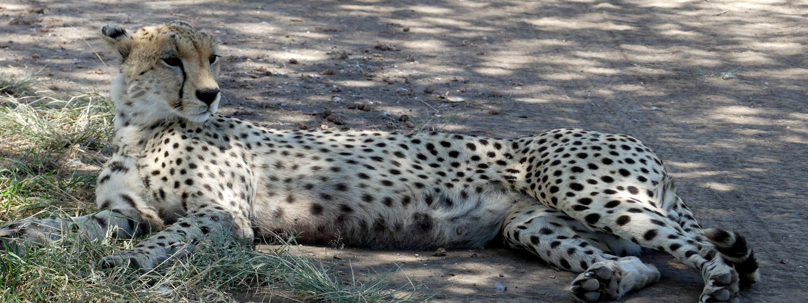 Serengeti National Park