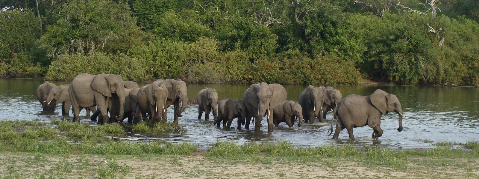 Nyerere National Park